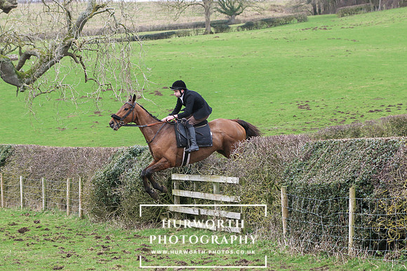 Hedge Hop 183