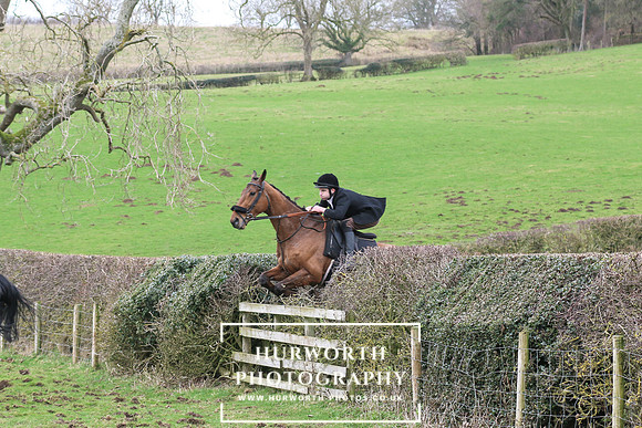 Hedge Hop 182