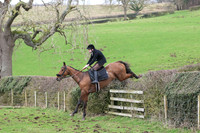 Hedge Hop 184