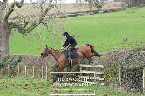Hedge Hop 184