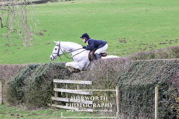 Hedge Hop 186