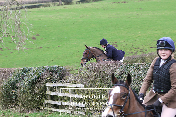 Hedge Hop 189