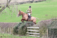Hedge Hop 193