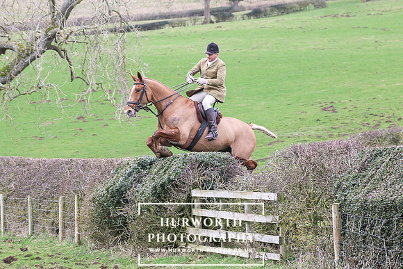 Hedge Hop 193