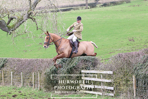 Hedge Hop 194