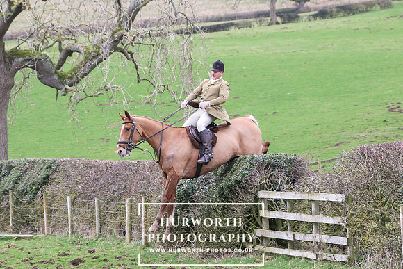 Hedge Hop 195