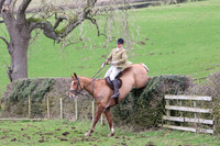 Hedge Hop 196
