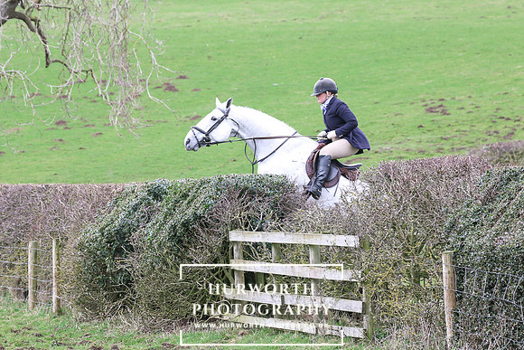 Hedge Hop 197