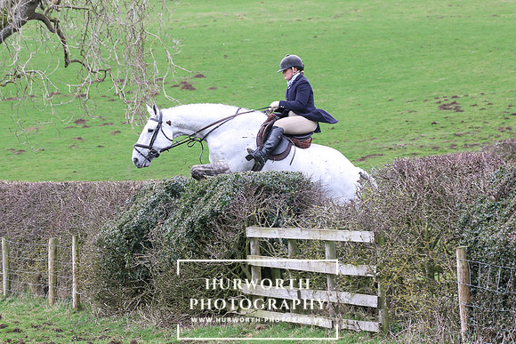 Hedge Hop 198