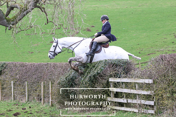 Hedge Hop 199