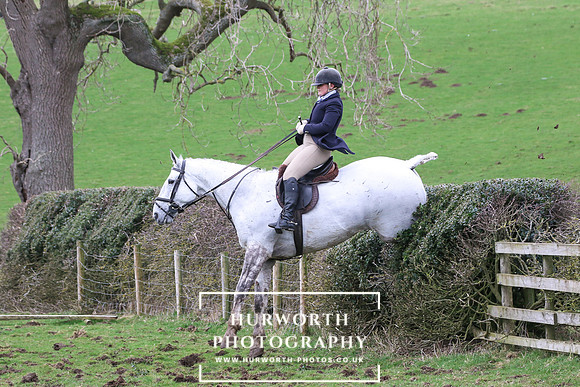 Hedge Hop 201