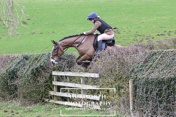 Hedge Hop 203