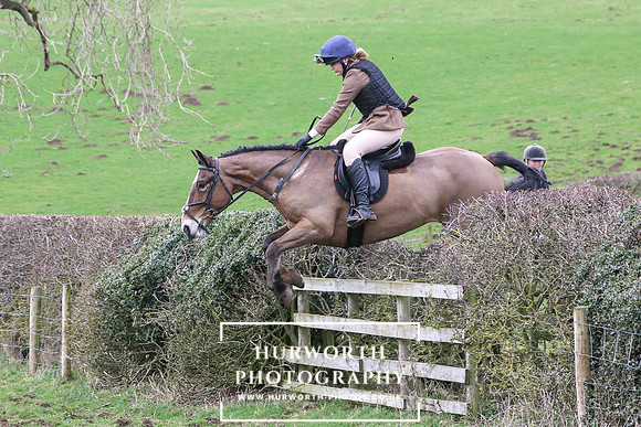 Hedge Hop 204