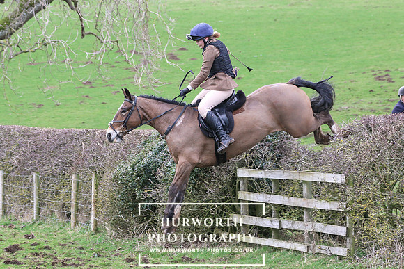 Hedge Hop 205
