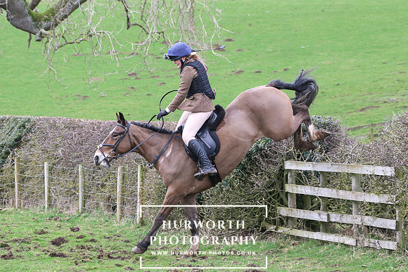 Hedge Hop 206