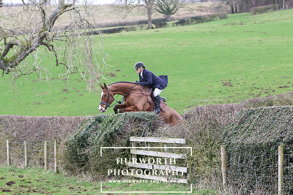Hedge Hop 207