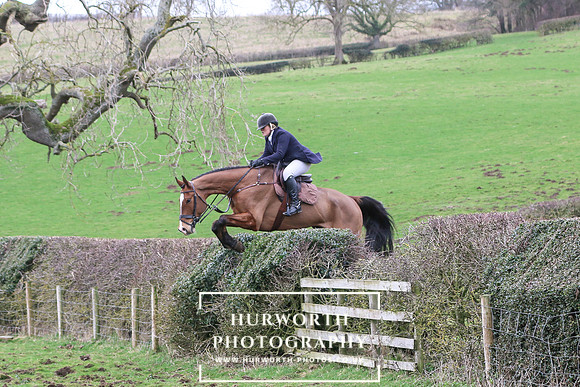 Hedge Hop 208