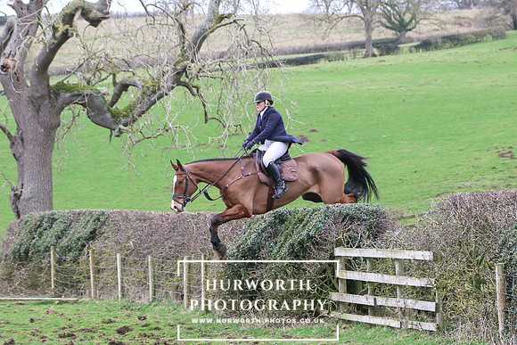 Hedge Hop 209