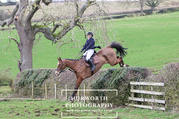 Hedge Hop 210