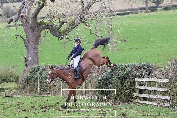 Hedge Hop 211