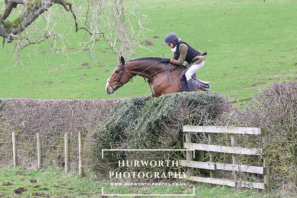 Hedge Hop 212