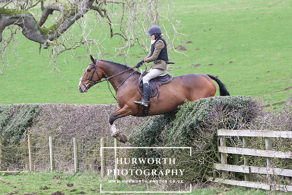 Hedge Hop 214