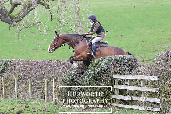 Hedge Hop 213