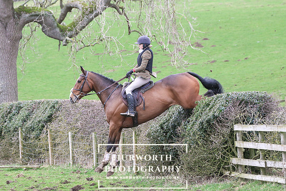 Hedge Hop 215