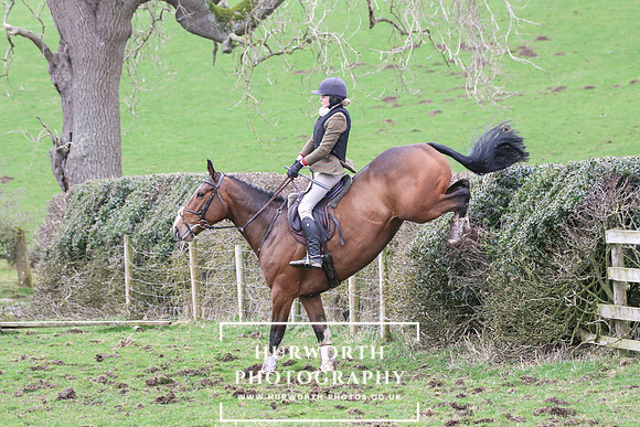 Hedge Hop 216