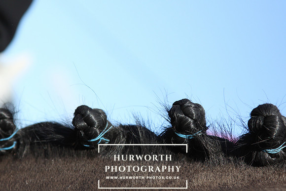 Hurworth 015