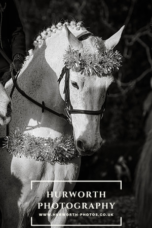 Hurworth Hunt 138