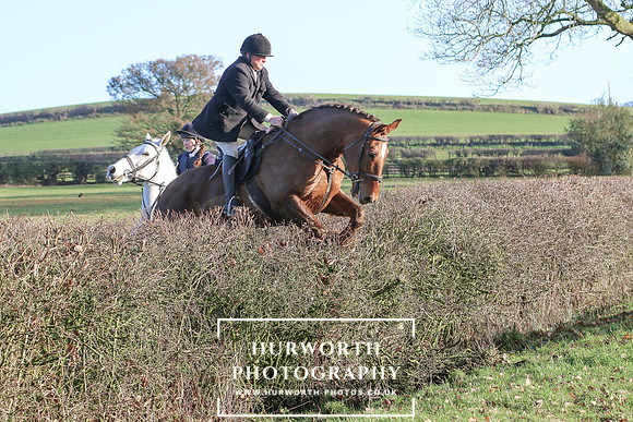 Hurworth Hunt 254