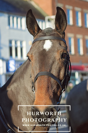 Hurworth Hunt 13