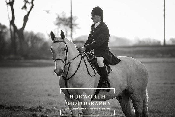 Hurworth Hunt 137