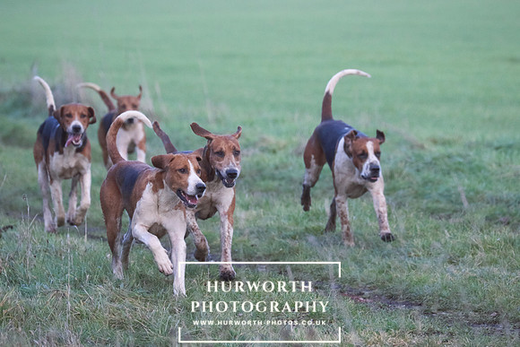 Hurworth Hunt 177