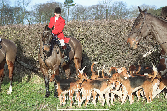 Hurworth Hunt 21