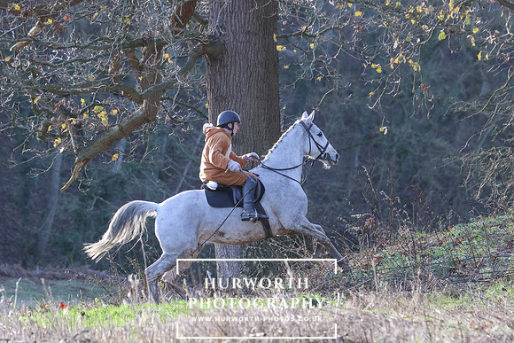 Hurworth Hunt 916