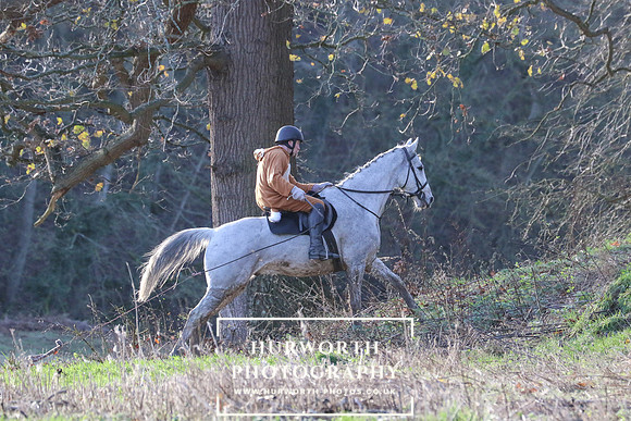 Hurworth Hunt 917