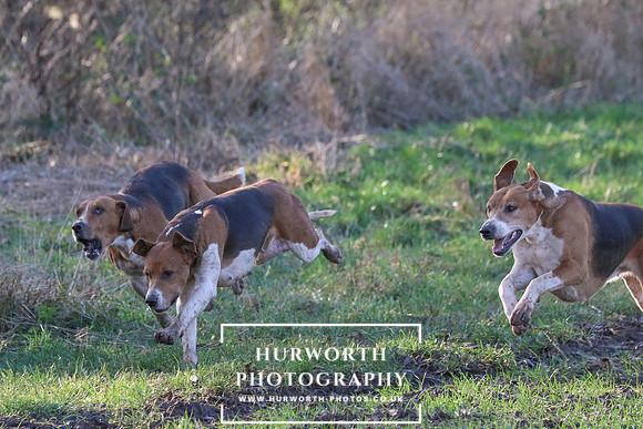 Hurworth Hunt 296