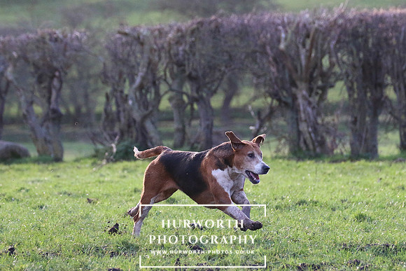 Hurworth Hunt 424