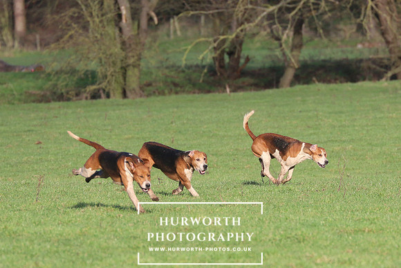 Hurworth Hunt 427