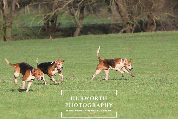 Hurworth Hunt 428