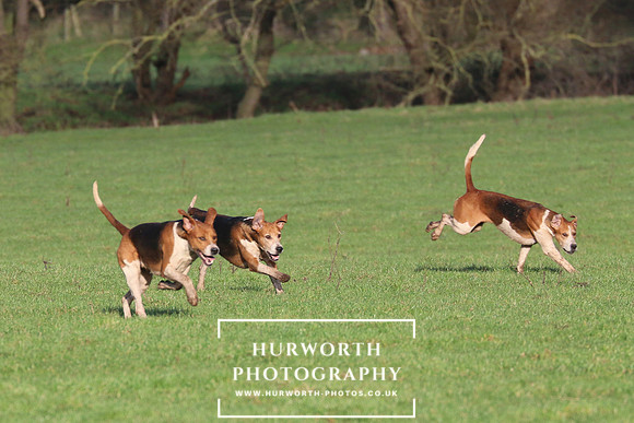 Hurworth Hunt 429
