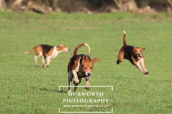 Hurworth Hunt 434