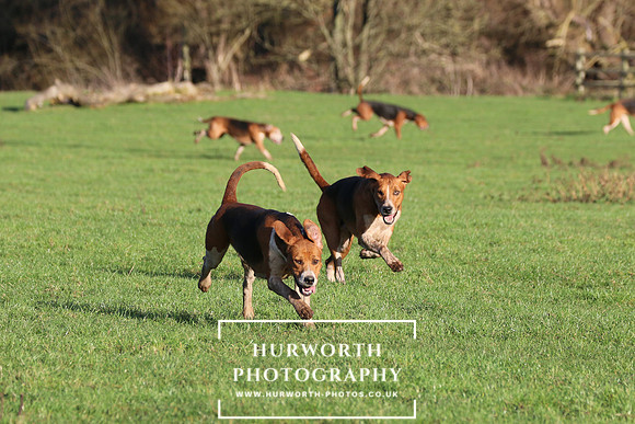 Hurworth Hunt 438