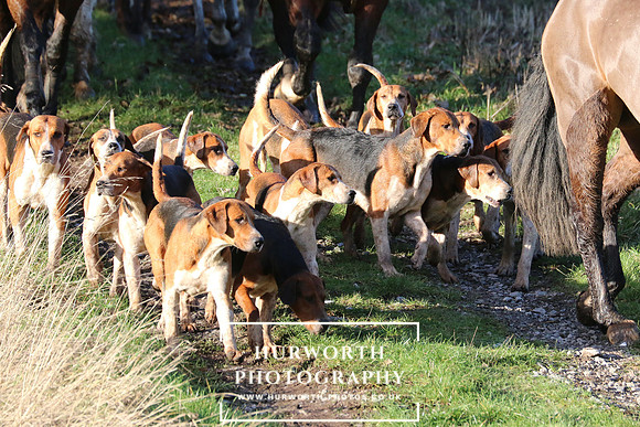 Hurworth Hunt 937