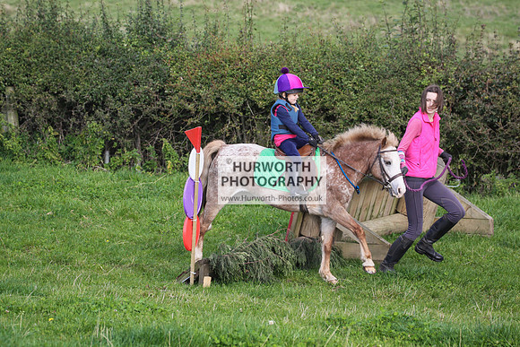 Bilsdale Hurworth Hedge Hop 20