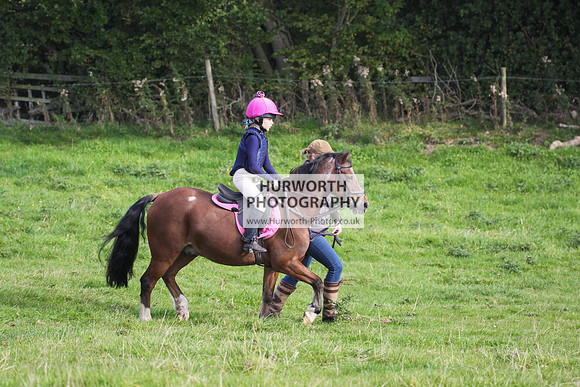 Bilsdale Hurworth Hedge Hop 24