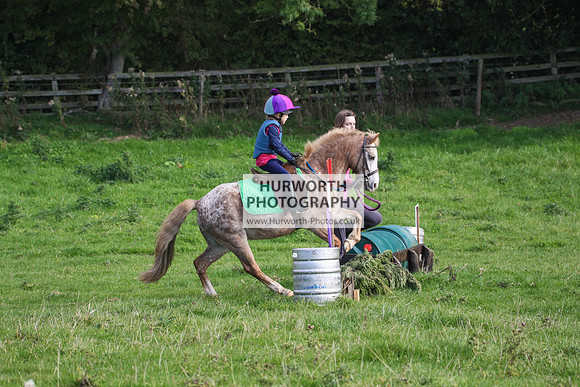 Bilsdale Hurworth Hedge Hop 27