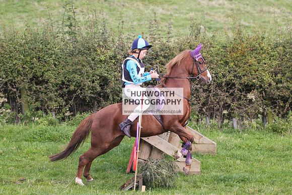 Bilsdale Hurworth Hedge Hop 65